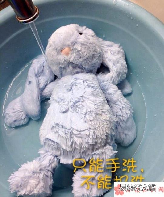 邦尼兔怎么洗的正确步骤 邦尼兔怎么清洗