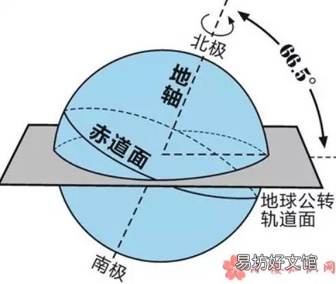 长什么样的鸡蛋最容易竖起来 春分竖蛋鸡蛋怎么挑