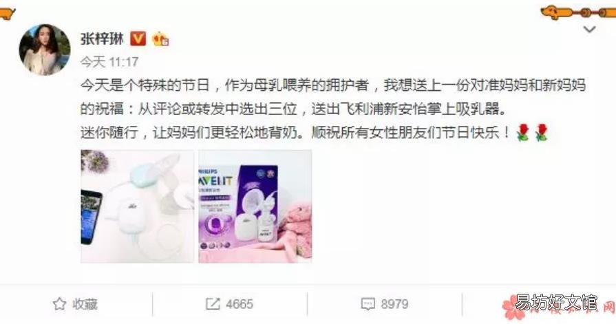 飞利浦新安怡单边电动手动两用吸乳器好不好 张梓琳同款吸乳器怎么样