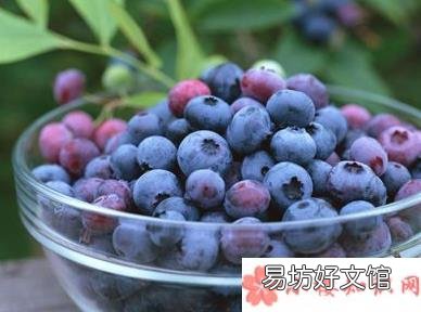 蓝莓一天吃多少为宜 孕妇蓝莓一次吃很多会怎样