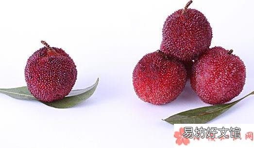 为什么吃杨梅会拉肚子 杨梅吃多了会拉肚子吗