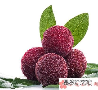 为什么吃杨梅会拉肚子 杨梅吃多了会拉肚子吗