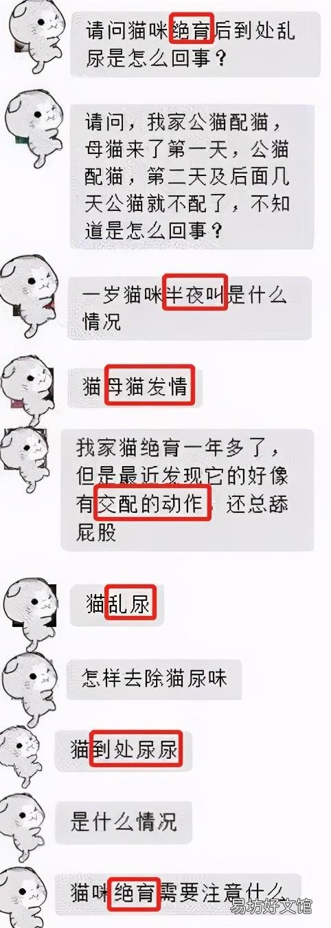 猫发春是什么样的(猫发春几月份)