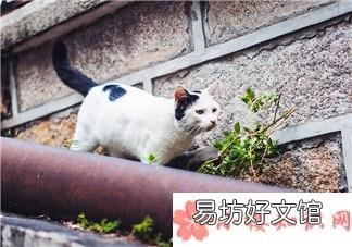 一轉眼半年過去了圖片說說 一轉眼半年過去了發朋友圈配文