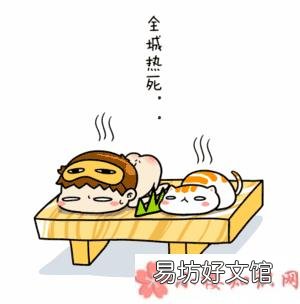 三伏天养生记住喝水别多也别少 2018三伏天如何养生