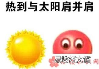 夏天请善待每一个胖子 夏天关于胖子的说说句子