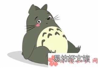 胖子是没有夏天的句子 胖子过夏天怎么发朋友圈说说