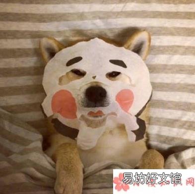 三伏天感冒的心情说说 三伏天感冒怎么发朋友圈配文字