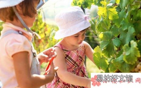 分享和孩子摘葡萄的句子短语 带孩子摘葡萄的心情说说