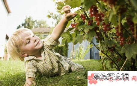 分享和孩子摘葡萄的句子短语 带孩子摘葡萄的心情说说