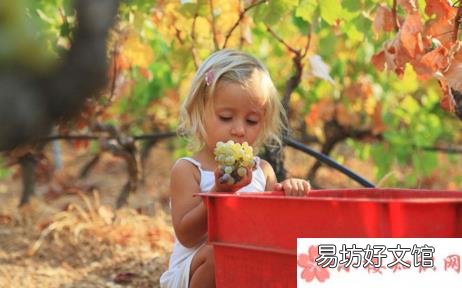 分享和孩子摘葡萄的句子短语 带孩子摘葡萄的心情说说