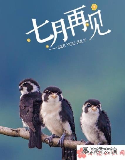 有关七月再见的句子心情 七月再见好说说朋友圈2018