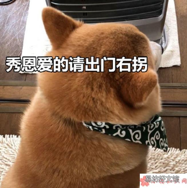 2018七夕单身狗调侃的段子七夕一个人都怪我过分优秀搞笑的段子说说短语