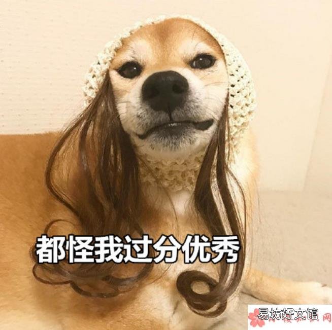 2018七夕单身狗调侃的段子七夕一个人都怪我过分优秀搞笑的段子说说短语
