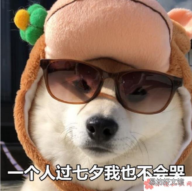 2018七夕单身狗调侃的段子七夕一个人都怪我过分优秀搞笑的段子说说短语
