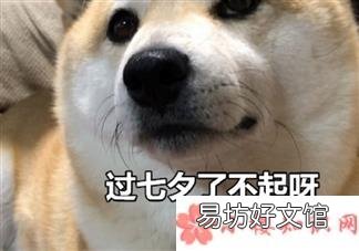 2018七夕单身狗调侃的段子七夕一个人都怪我过分优秀搞笑的段子说说短语