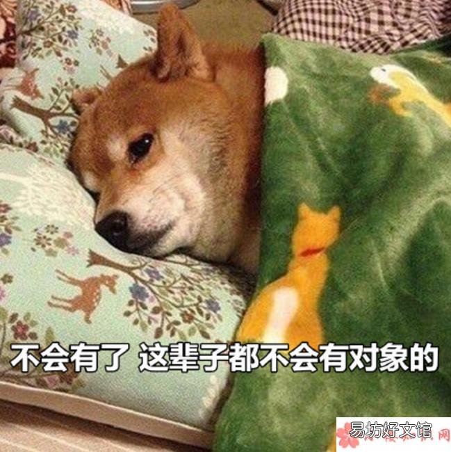 2018七夕单身狗调侃的段子七夕一个人都怪我过分优秀搞笑的段子说说短语