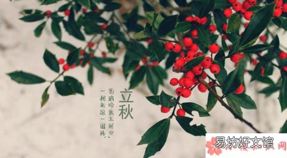 立秋还热幽默搞笑的句子短语 2018立秋依然热的搞笑心情说说