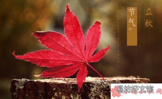 立秋还热幽默搞笑的句子短语 2018立秋依然热的搞笑心情说说