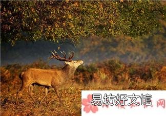 2018秋天来了再见夏天的图片心情短语 再见夏天的句子心情
