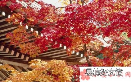 2018秋天来了再见夏天的图片心情短语 再见夏天的句子心情