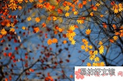 2018秋天来了再见夏天的图片心情短语 再见夏天的句子心情