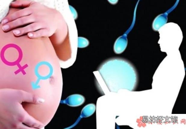 68+怀孕的农历月份生男生女公式 怀孕的农历月份怎么看生男生女