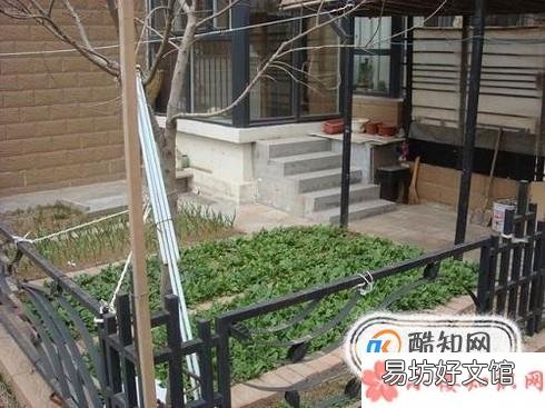 为什么很多人喜欢买一楼