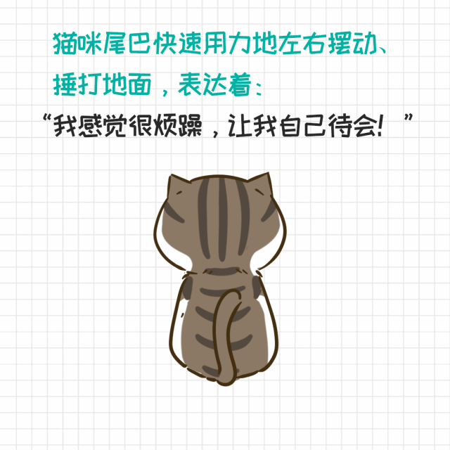 猫的尾巴有什么作用(猫尾巴的作用)