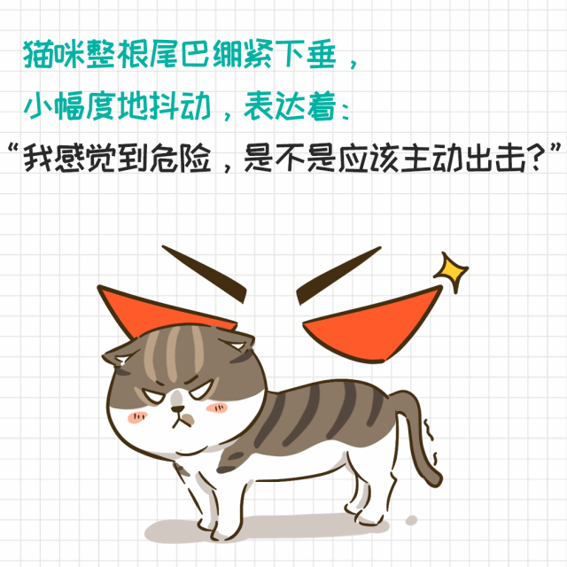 猫的尾巴有什么作用(猫尾巴的作用)