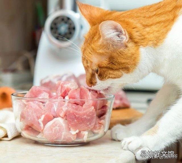 猫咪可以吃猪肉吗(两个月猫咪可以吃猪肉吗)