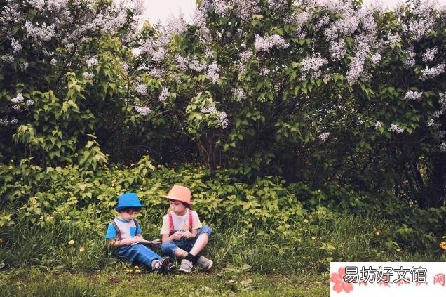 孩子不吃蔬菜怎么做好 怎么让孩子开始爱吃蔬菜