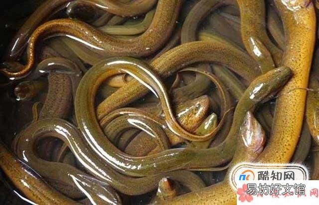 亲身经历 厨房下水堵塞的几种处理方法