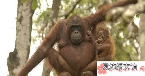 新生兒手指硬掰有哪些影響 如何正確曬新生兒