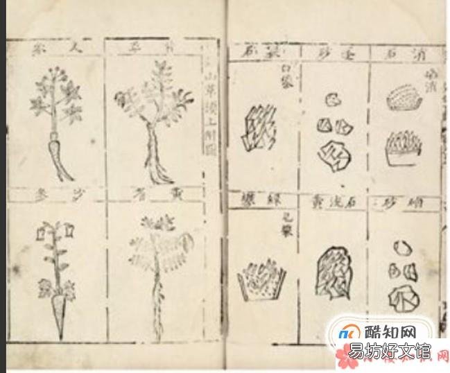 中国人有多能吃?