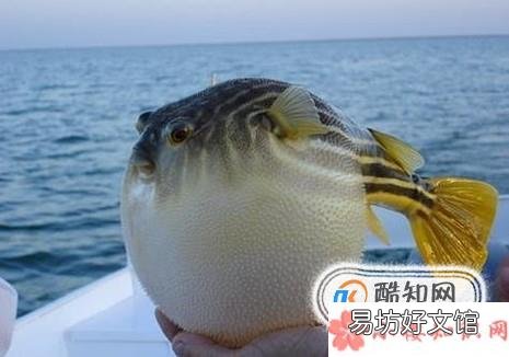中国人有多能吃?
