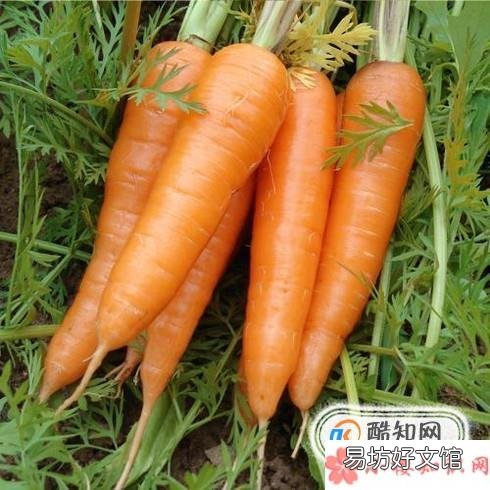 4个小妙招教你摆脱大额头