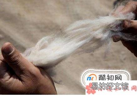 怎么鉴别真假羊绒的方法
