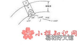 有哪些药品属于禁药