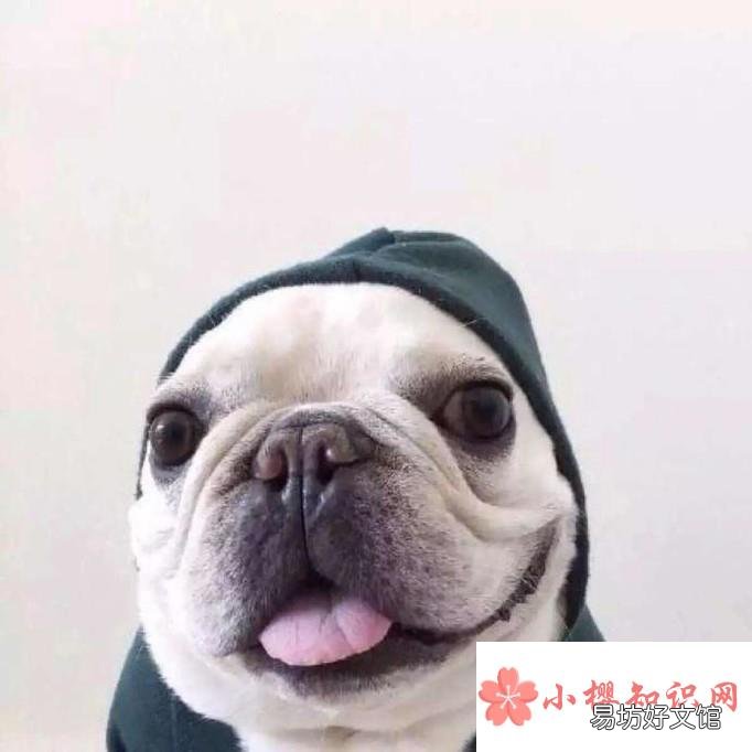 女生微信头像隐藏着哪些秘密