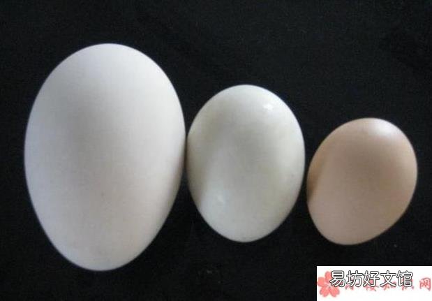 孕妇吃鹅蛋的好处有哪些 孕期吃鹅蛋可以去胎毒吗