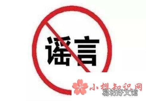 肉松里真的有棉花吗？
