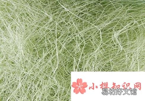 肉松里真的有棉花吗？