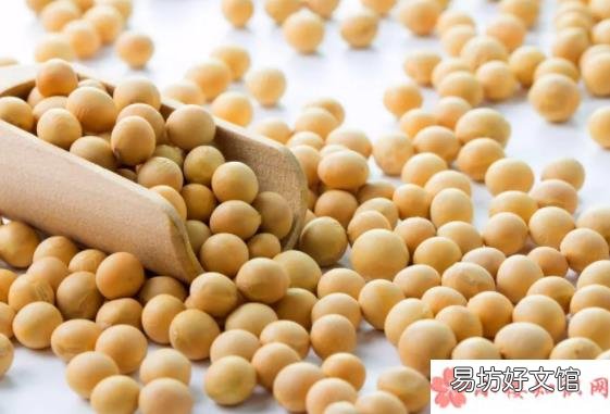 2019大寒节气食物推荐 大寒吃什么食物好