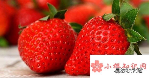 清洗草莓的正确方法有哪些