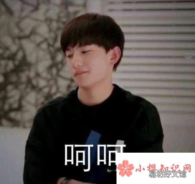经典的群嘲表情包有些什么