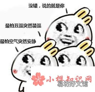 经典的群嘲表情包有些什么