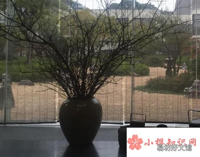 如何放弃那些毫无意义的事情？