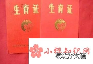 怎么办理第一胎生育证?
