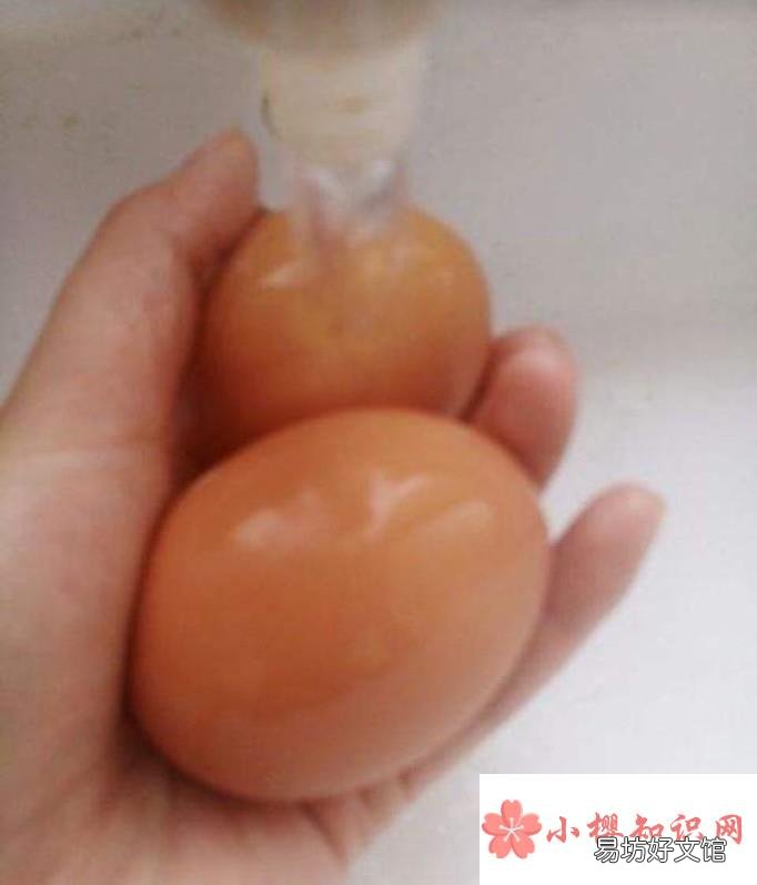 家用蒸蛋器的使用经验